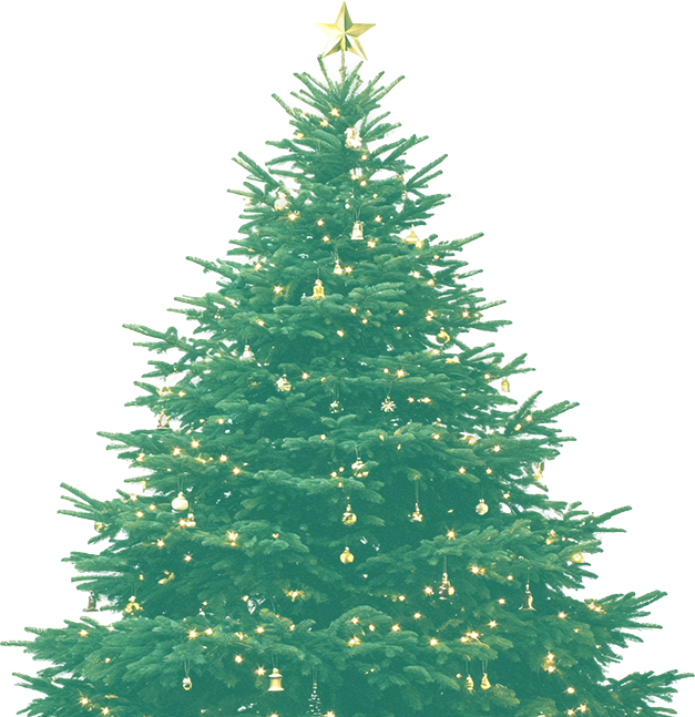grote kerstboom bestellen rosmalen