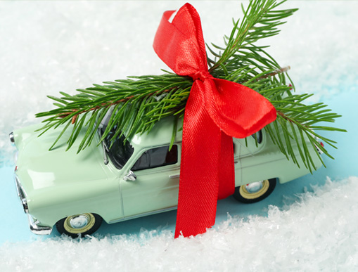 Kerstbomen Den Bosch online verkoop en bezorging
