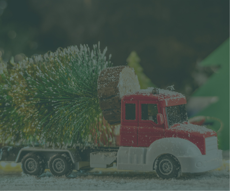 Bezorging van kerstbomen in regio Rosmalen
