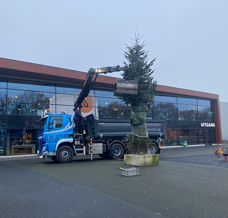 Bezorging en plaatsing voor zakelijke kerstboom rosmalen