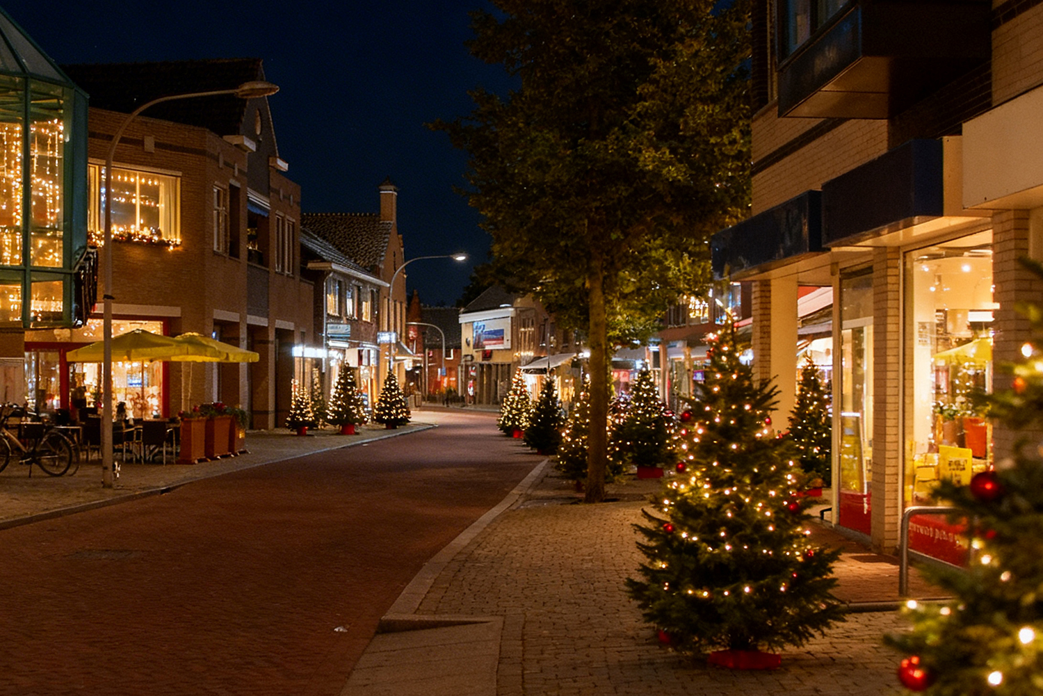 Op zoek naar een kerstboom in Rosmalen en omgeving? Bij Kerstbomenrosmalen.nl vind je elk jaar een ruime selectie verse Nordmann kerstbomen van topkwaliteit. Rechtstreeks van de kweker, zorgvuldig geselecteerd en perfect voor een sfeervolle kerst bij jou thuis.