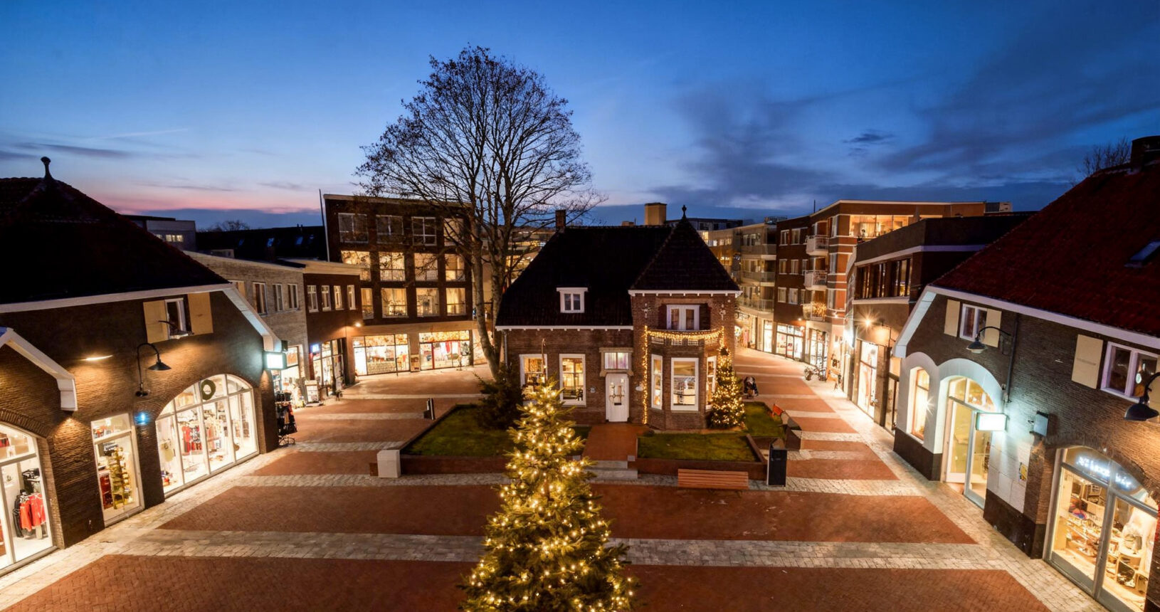 Zakelijke kerstboom bestellen Rosmalen